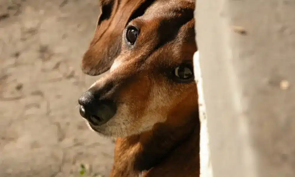Aceptar la ruptura 1 aceptar-la-ruptura